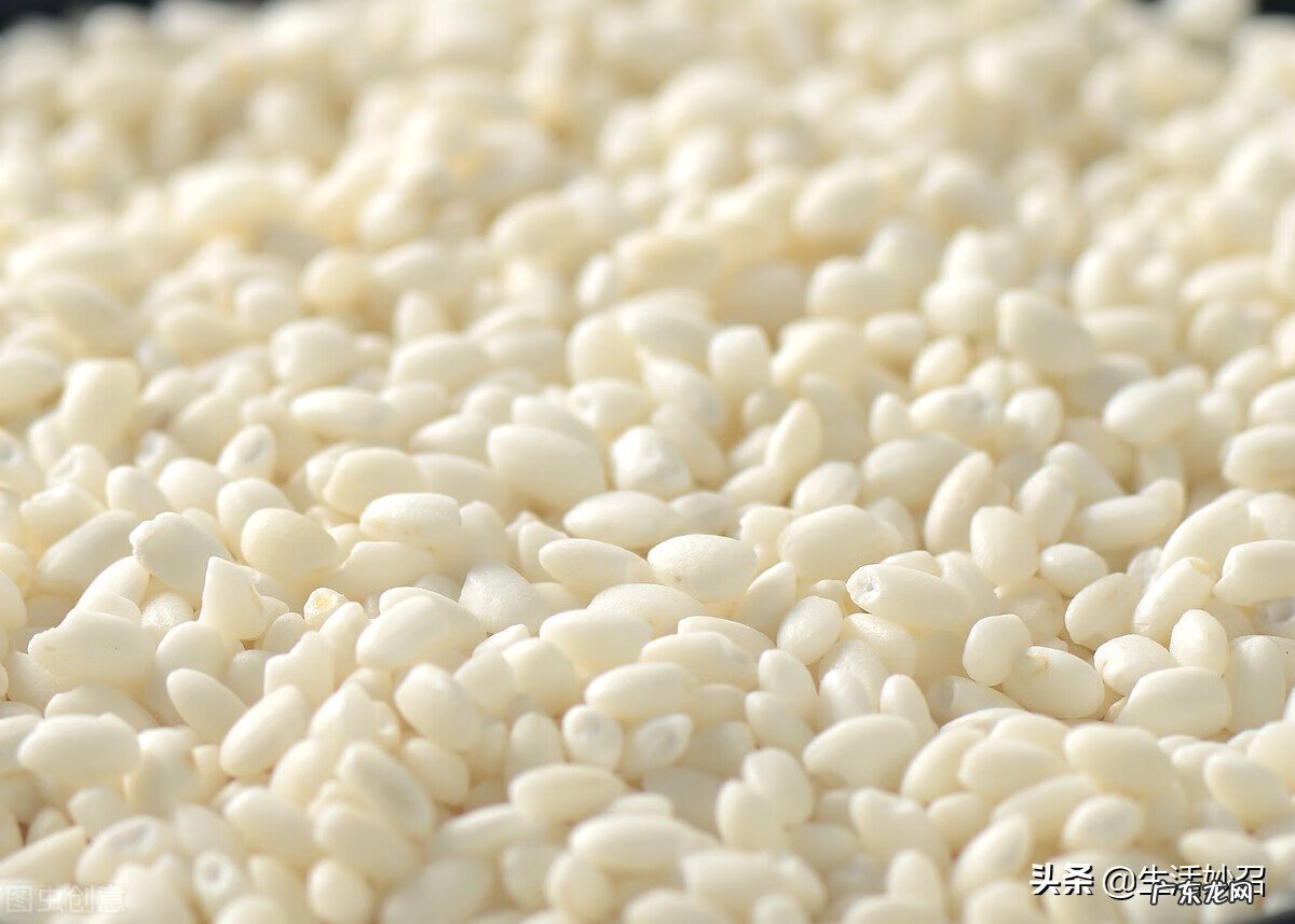 粳米和大米有什么不同 粳米和大米的区别是什么呢