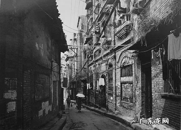 九星五行属性 白象居风水