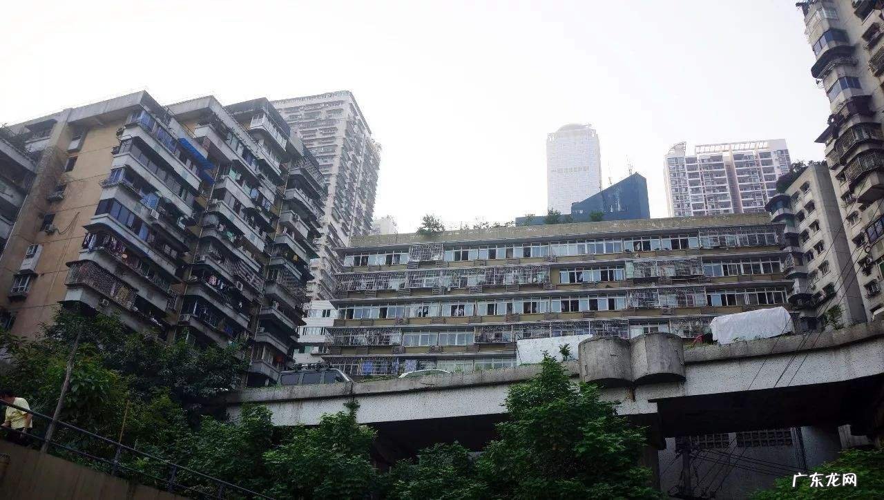 九星五行属性 白象居风水