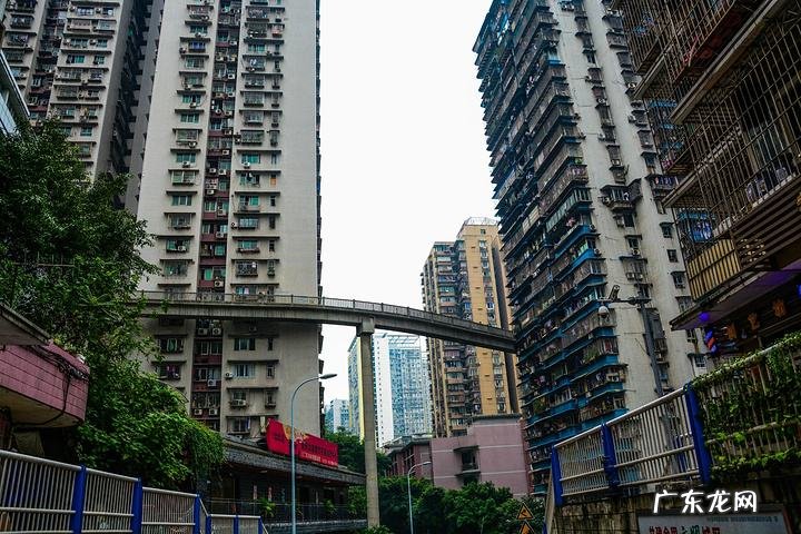 九星五行属性 白象居风水