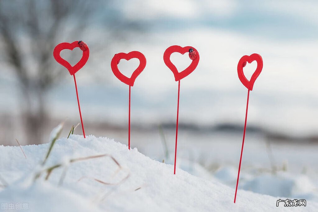 女凤凰是什么意思 女凤凰