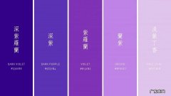 紫色风水 紫色配黄色好看吗图片