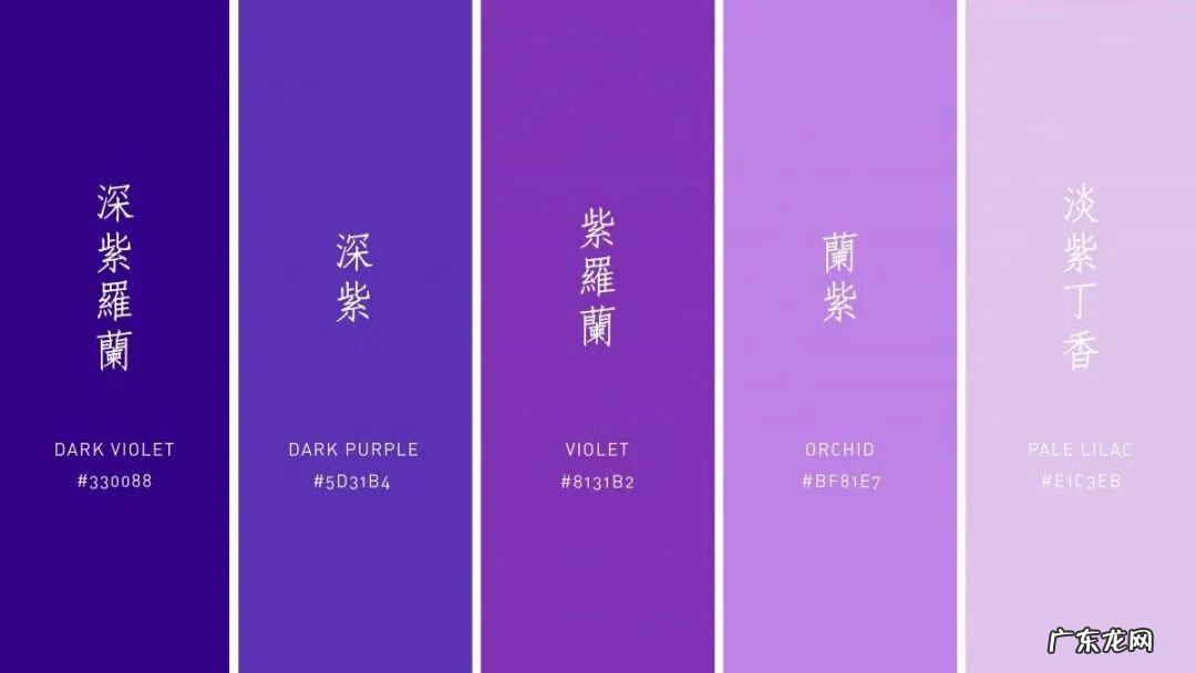 紫色风水 紫色配黄色好看吗图片