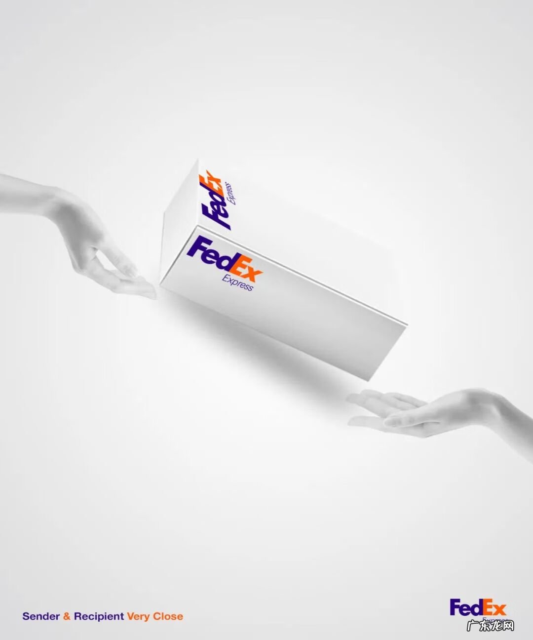 紫色风水 紫色配黄色好看吗图片