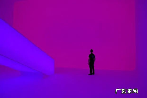 紫色风水 紫色配黄色好看吗图片