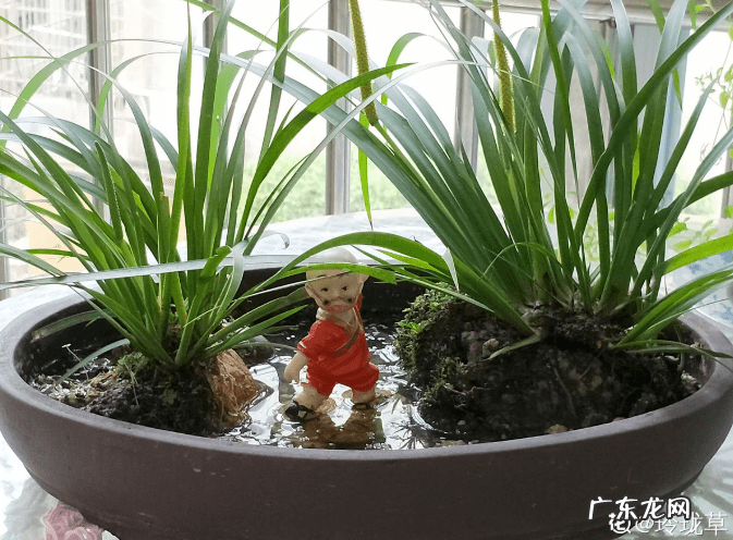 花都区保利水晶 花都水晶公寓为什么是风水不好