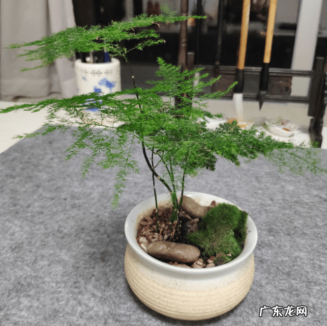 花都区保利水晶 花都水晶公寓为什么是风水不好