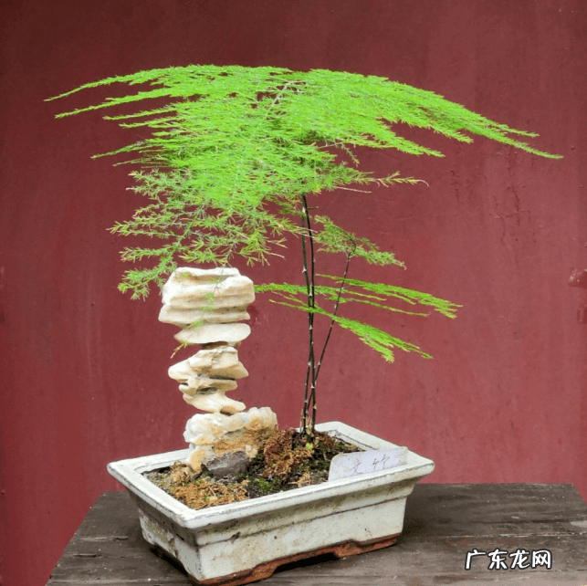 花都区保利水晶 花都水晶公寓为什么是风水不好