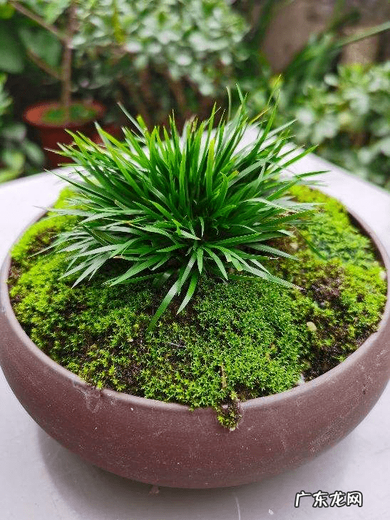 花都区保利水晶 花都水晶公寓为什么是风水不好