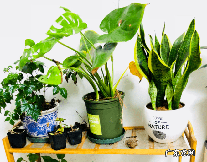 花都区保利水晶 花都水晶公寓为什么是风水不好