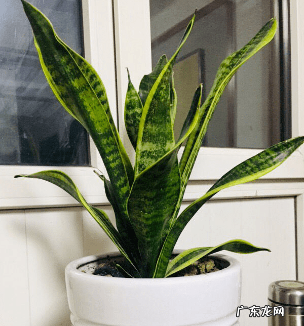 花都区保利水晶 花都水晶公寓为什么是风水不好