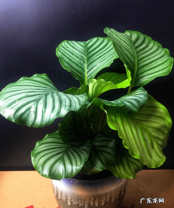 花都区保利水晶 花都水晶公寓为什么是风水不好