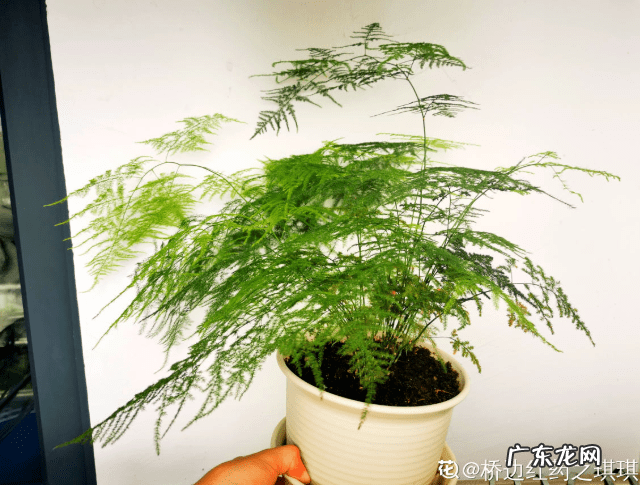 花都区保利水晶 花都水晶公寓为什么是风水不好