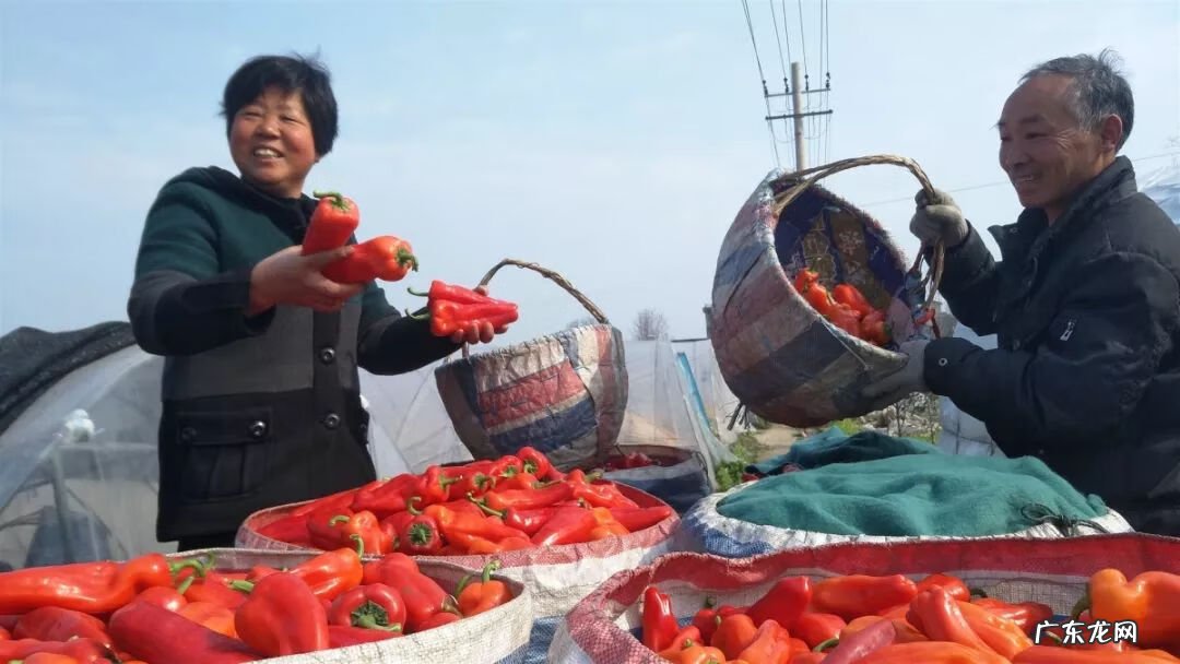 风水马鞍山出什么人才 马鞍山风水