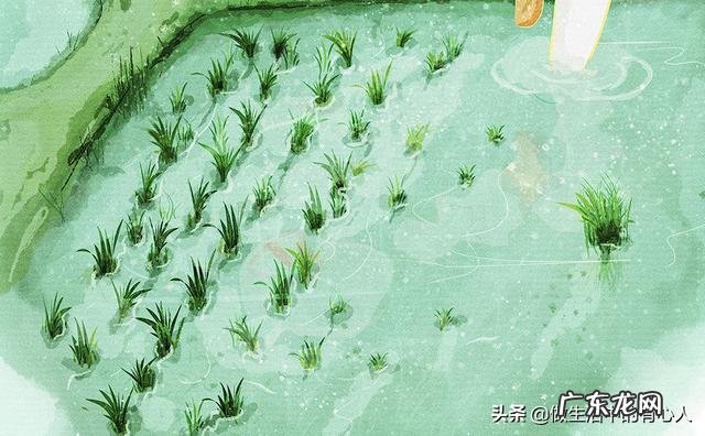 五一劳动节的来历作文300字 五一劳动节作文300字