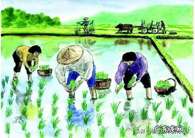 五一劳动节的来历作文300字 五一劳动节作文300字