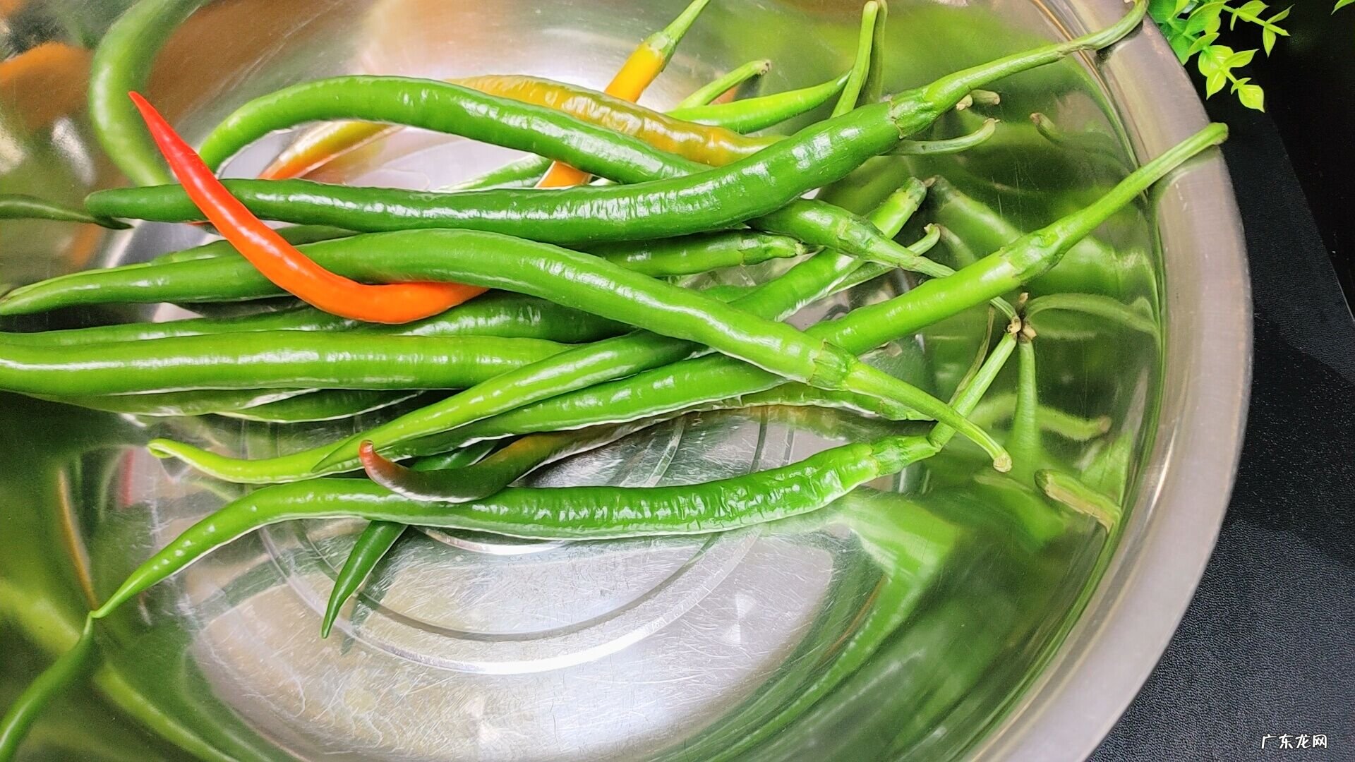 辣椒的腌制方法和配料 腌制辣椒的方法怎么做