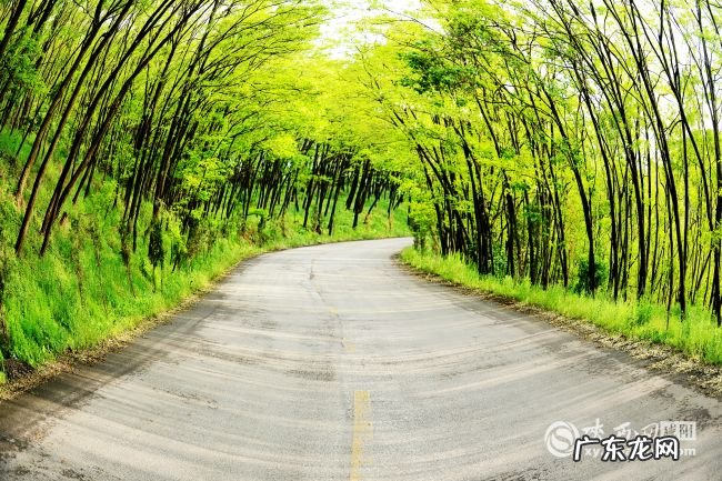 彬县经济怎么样 彬县永平镇