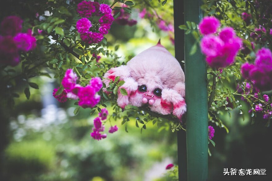 幻想系玩具 幻想玩偶动画