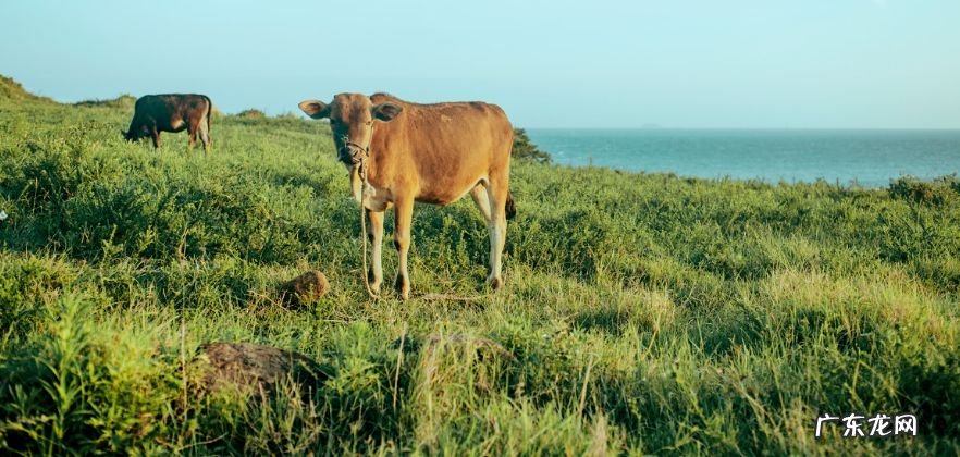五一哪个地方最适合旅游 五一去哪旅游比较好玩
