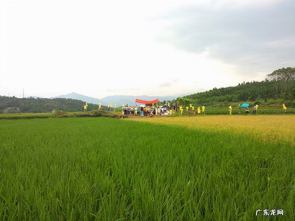 风水七星伴月是什么格局 七星伴月的风水怎么样