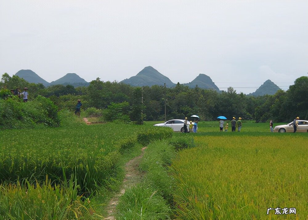 风水七星伴月是什么格局 七星伴月的风水怎么样