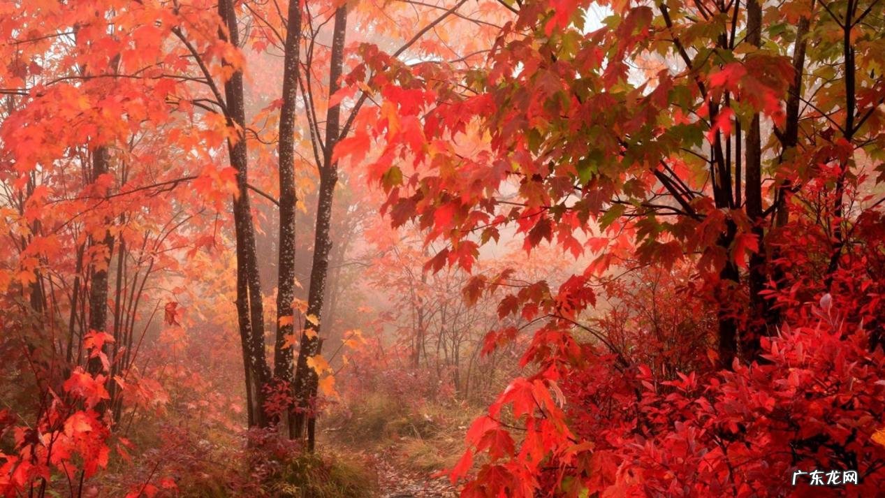 农村家庭住宅风水 农村家庭风水图解大全