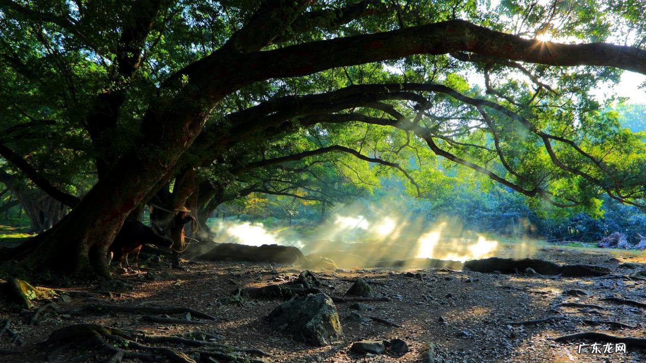 农村家庭住宅风水 农村家庭风水图解大全