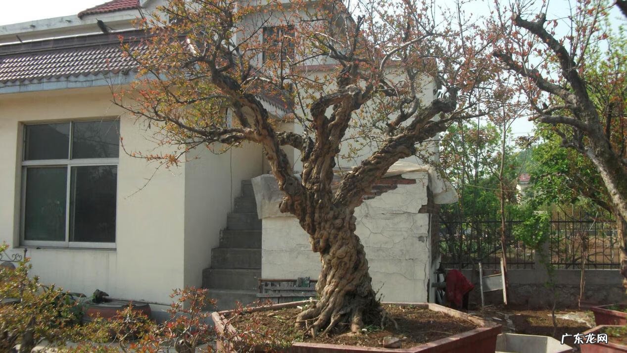 农村家庭住宅风水 农村家庭风水图解大全