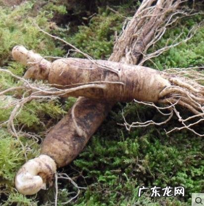 风水和命运有关系吗 财运与风水有什么关系