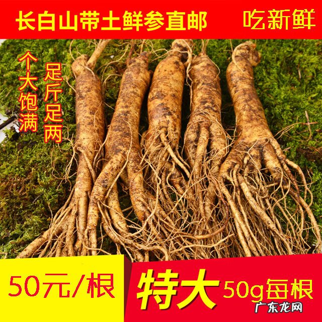 风水和命运有关系吗 财运与风水有什么关系