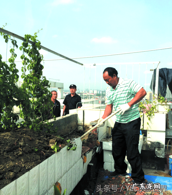 楼顶建鱼池影响风水吗 楼顶养鱼风水好不好