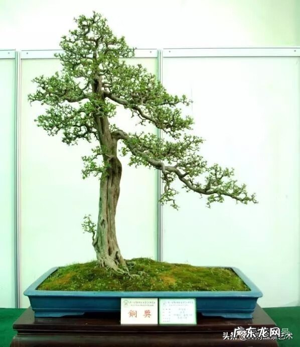 五行什么行业属金 五行风水学中的金属于什么