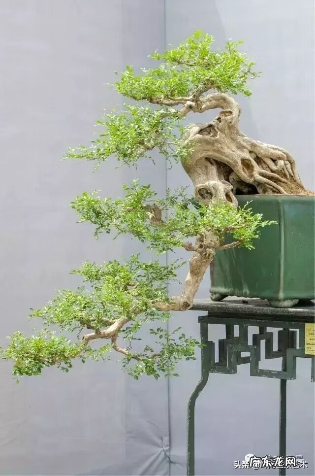 五行什么行业属金 五行风水学中的金属于什么