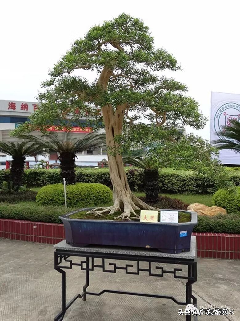 五行什么行业属金 五行风水学中的金属于什么