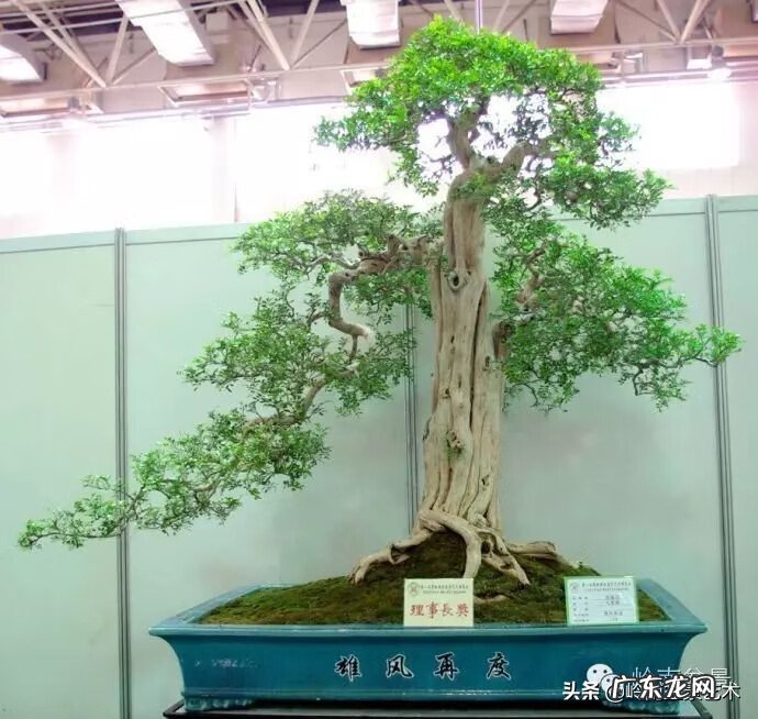 五行什么行业属金 五行风水学中的金属于什么