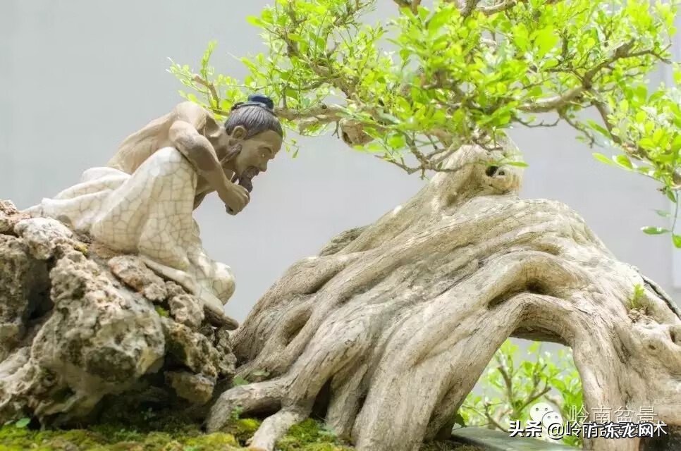 五行什么行业属金 五行风水学中的金属于什么