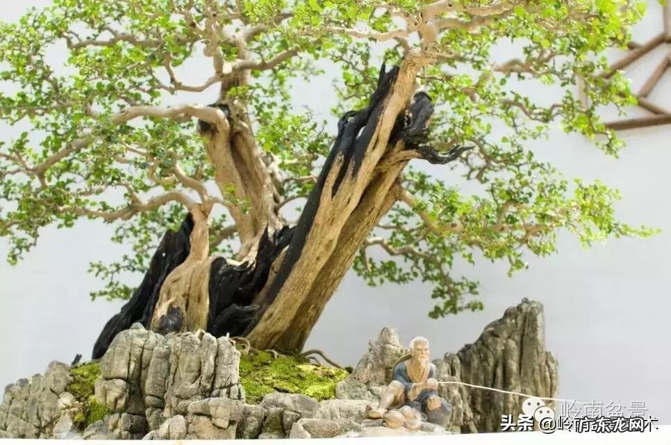 五行什么行业属金 五行风水学中的金属于什么