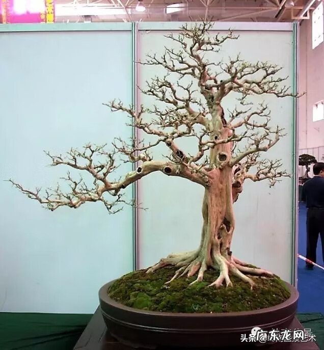 五行什么行业属金 五行风水学中的金属于什么