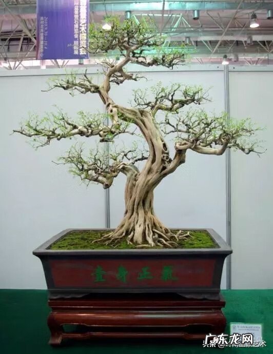 五行什么行业属金 五行风水学中的金属于什么