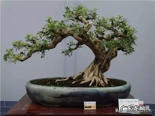 五行什么行业属金 五行风水学中的金属于什么