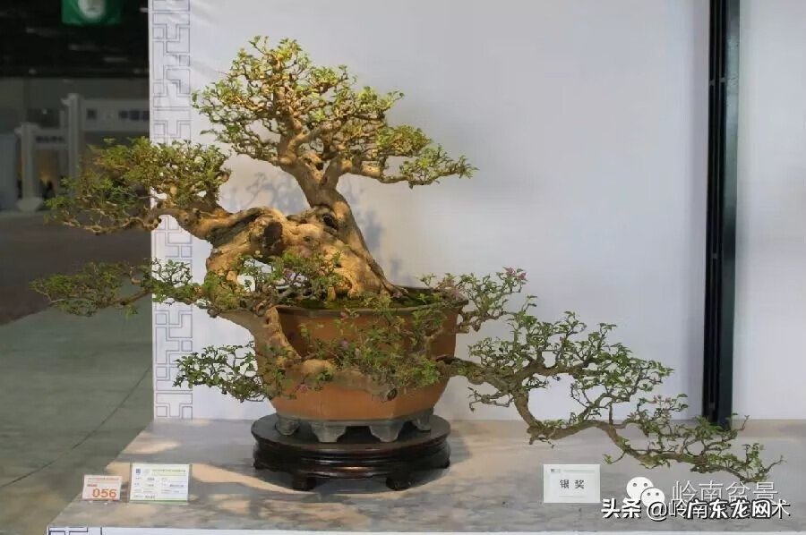 五行什么行业属金 五行风水学中的金属于什么