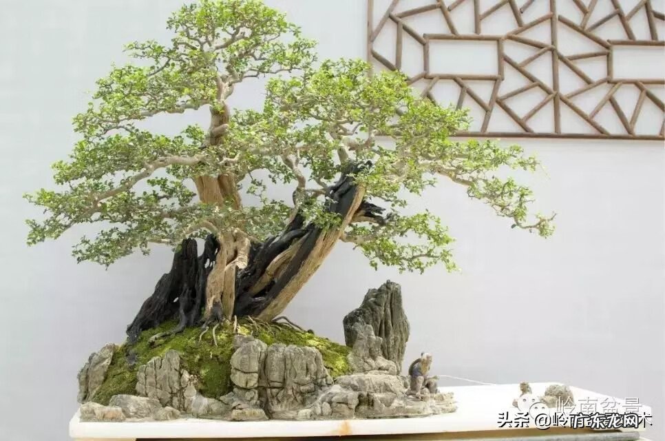 五行什么行业属金 五行风水学中的金属于什么