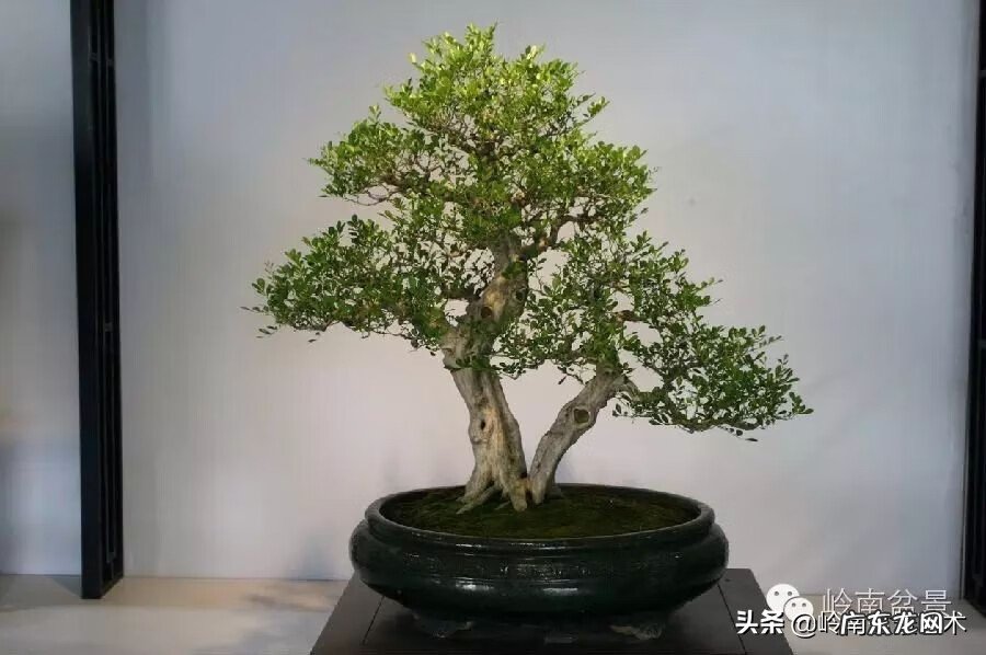 五行什么行业属金 五行风水学中的金属于什么