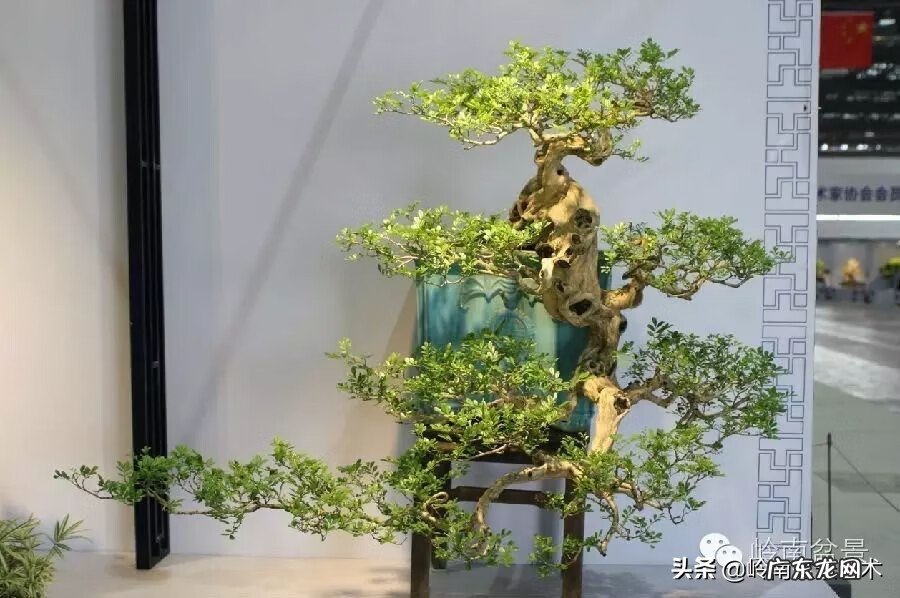 五行什么行业属金 五行风水学中的金属于什么