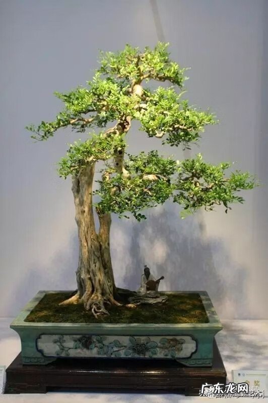 五行什么行业属金 五行风水学中的金属于什么