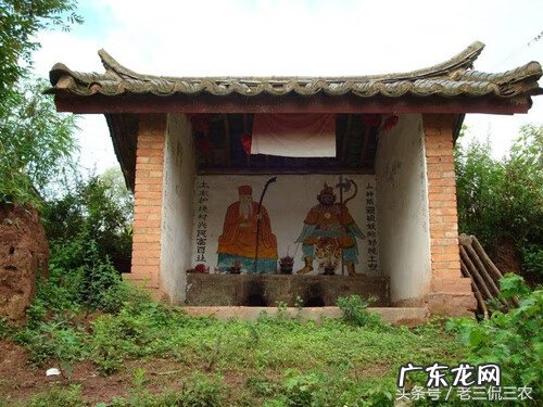 树木什么时候砍伐最好 什么时候可以砍树风水