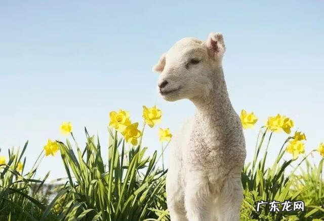 描写自然景观的成语有哪些 描写自然的风光的成语