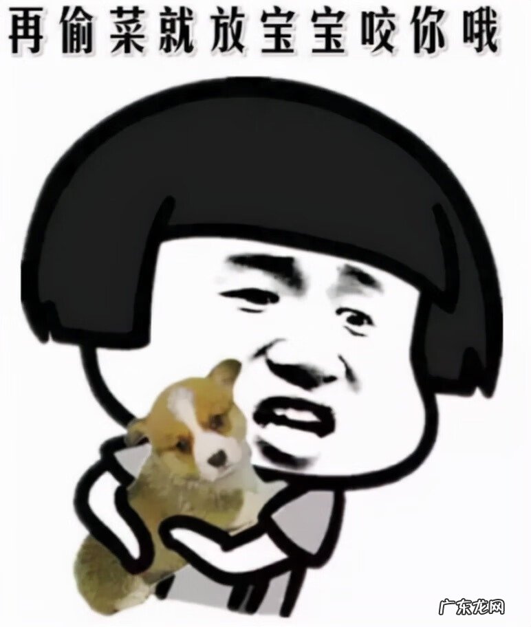 梦幻新诛仙仙府风水有什么用 梦幻新诛仙仙府风水有哪些