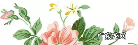 水资源利用的论文 水资源论文开头